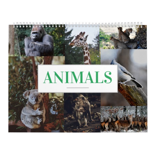 Home/Office Wall Calendar Animal Calendar (Cover)
