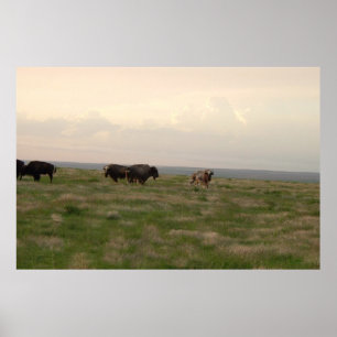 "Home On The Range-Western Kansas" Poster