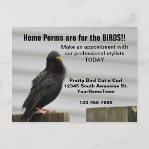 Home Perm Salon Mailer Postcard
