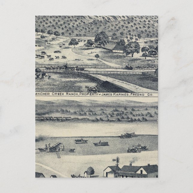 Home Ranches in Fresno, California Postcard (Front)