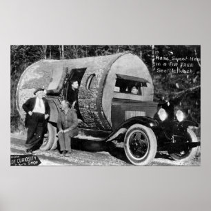 Home Sweet Home in a Fir Tree Poster