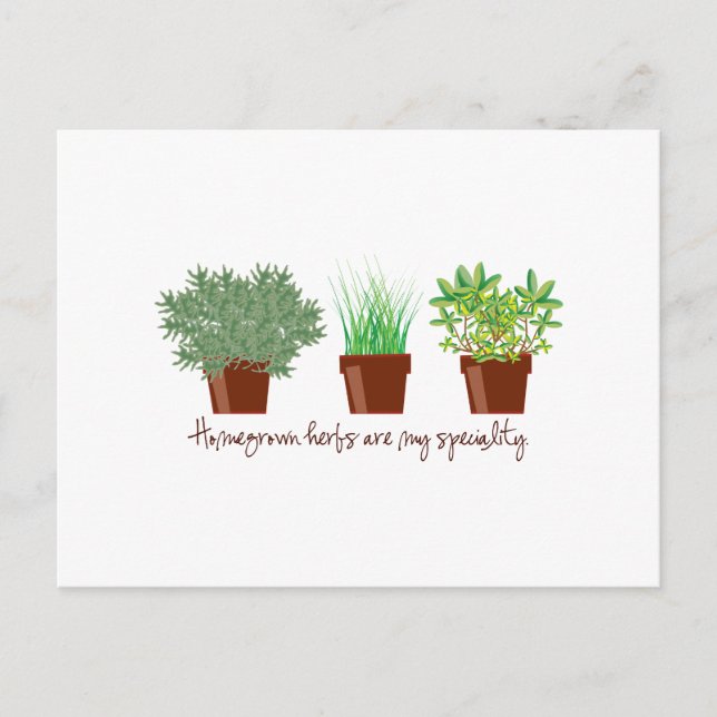 Homegrown Herbs Are My Speciality Postcard (Front)
