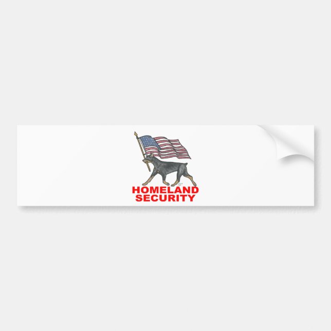 HOMELAND SECURITY HLSDP BUMPER STICKER (Front)