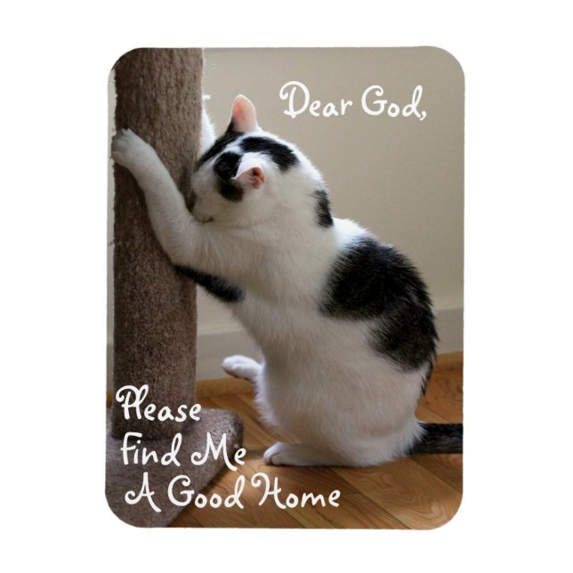 Homeless Cat's Prayer - Magnet (Vertical)