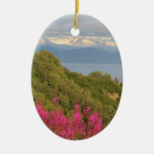 Homer, Alaska ornament