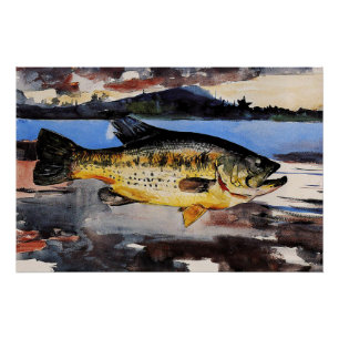 Homer - Bass, fish, fine art, Poster
