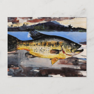 Homer - Bass, Postcard
