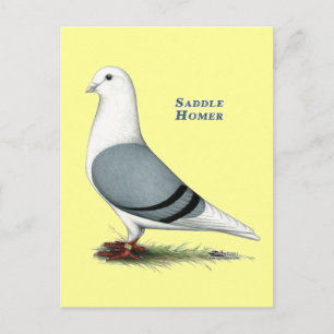 Homer Blue Saddle Postcard