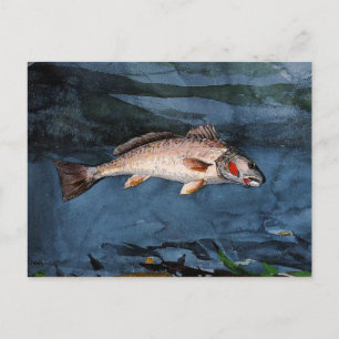 Homer - Channel Bass, Florida Postcard