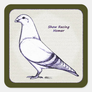 Homer Design Square Sticker