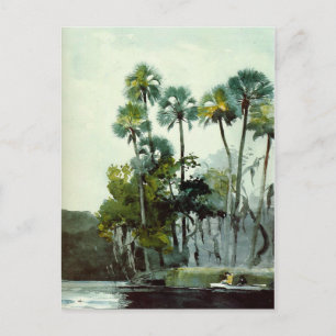 Homer - Homosassa River Postcard