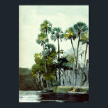 Homer - Homosassa River Poster<br><div class="desc">Winslow Homer painting, Homosassa River, poster.</div>