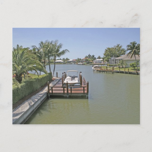 Homes and docks on canal Marco Island Florida Postcard (Front)