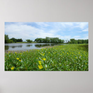 Homestead Pond Poster