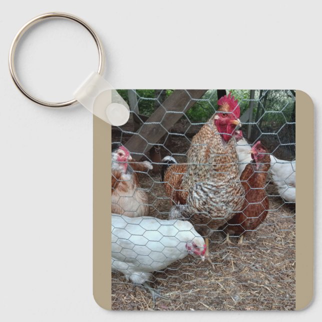 Homesteading rules key ring (Front)