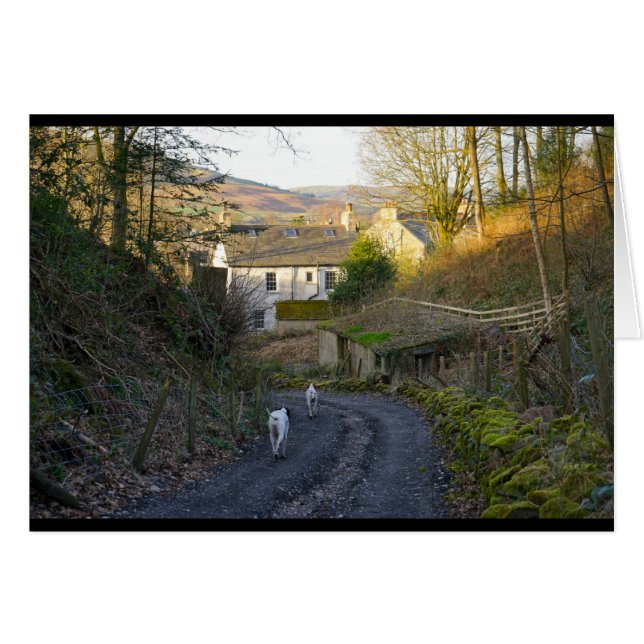 Homeward bound (Front Horizontal)