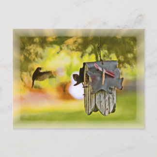 Homeward Bound Postcard