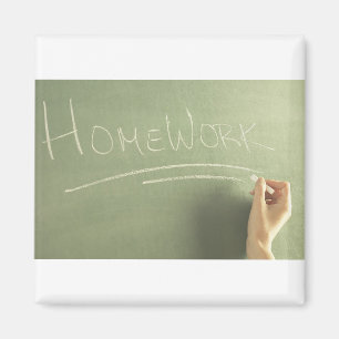 Homework Banner Magnet
