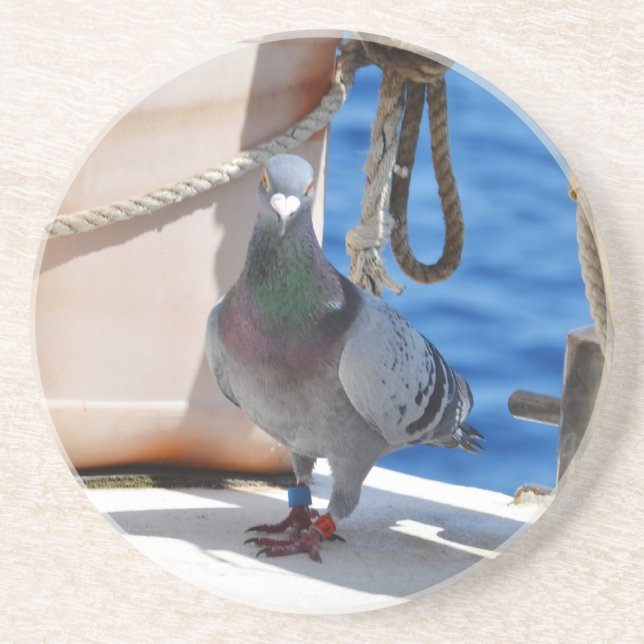 Homing Pigeon Coaster (Front)