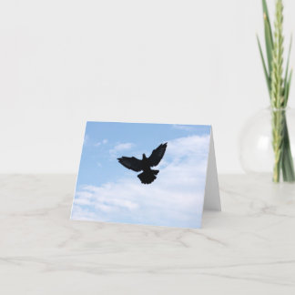 Homing Pigeon Coming Home Notecard