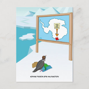 Homing Pigeon GPS Malfunction Postcard