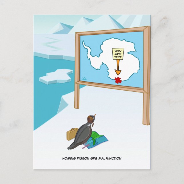 Homing Pigeon GPS Malfunction Postcard (Front)