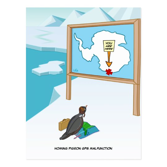 Homing Pigeon GPS Malfunction Postcard