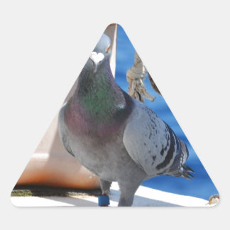 Homing Pigeon Triangle Sticker
