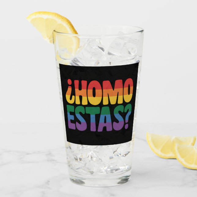 Homo Estas Funny Spanish Mexican Gay Ally LGBTQ Glass (Front Ice)