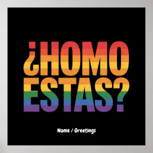 Homo Estas Spanish Mexican Funny Gay Pride Month  Poster