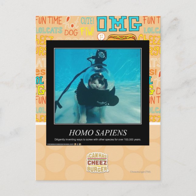 Homo Sapiens Postcard (Front)