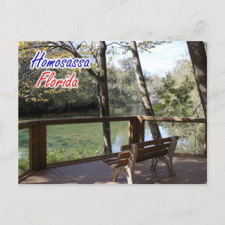 Homosassa Florida Postcard