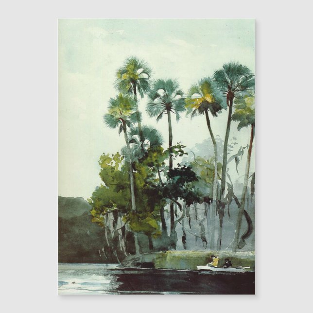 Homosassa River by Winslow Homer (Front)