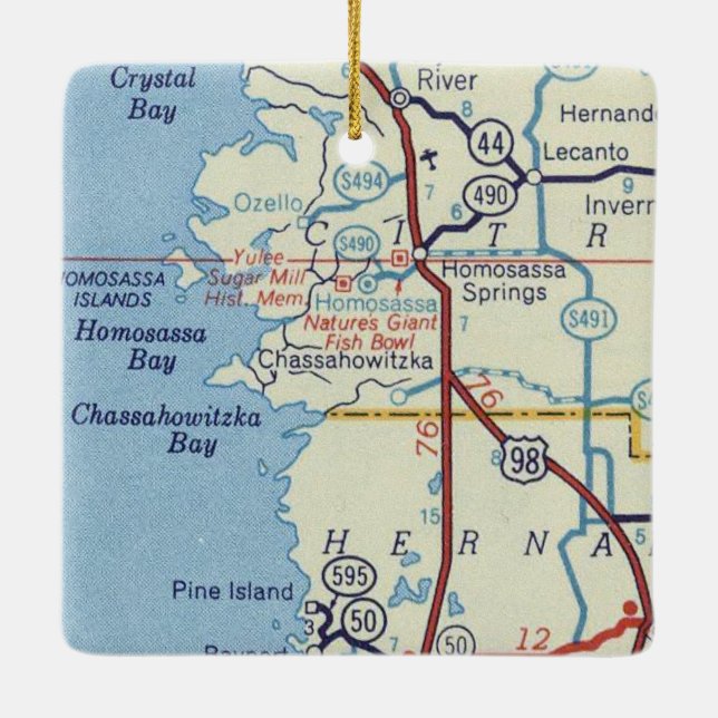 Homosassa Springs FL Vintage Map Ceramic Ornament (Back)