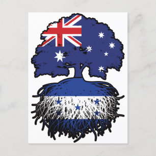 Honduras Honduran Australian Australia Tree Roots Postcard