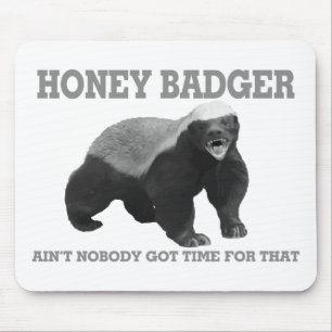 Honey Badger Ain't Nobody Got Time For That Mouse Mat