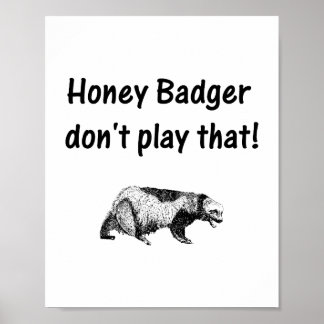 honey badger don't play that poster
