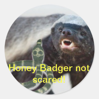 honey badger not scared classic round sticker