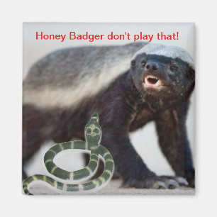 honey badger not scared magnet