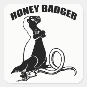 Honey badger square sticker