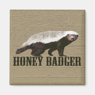 Honey Badger Wild Animal Magnet