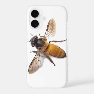 Honey Bee