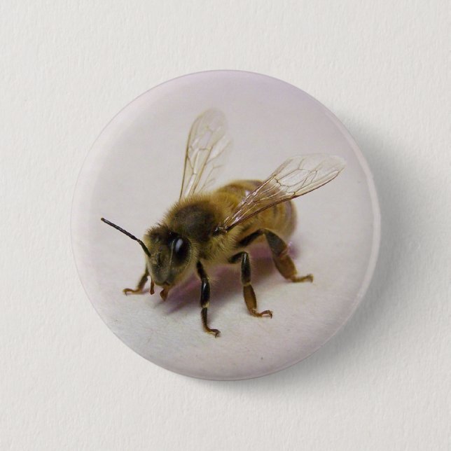 Honey bee 6 cm round badge (Front)