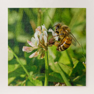 Honey bee and clover jigsaw puzzle