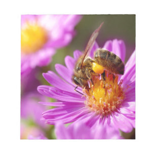 Honey bee and pollination notepad