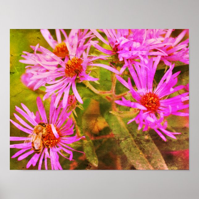 Honey Bee Aster Flower Distressed Art Poster (Front)