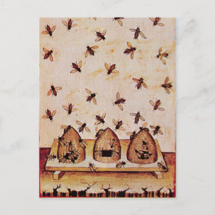 HONEY BEE ,BEEKEEPER /apiary,beekeeping supplies Postcard