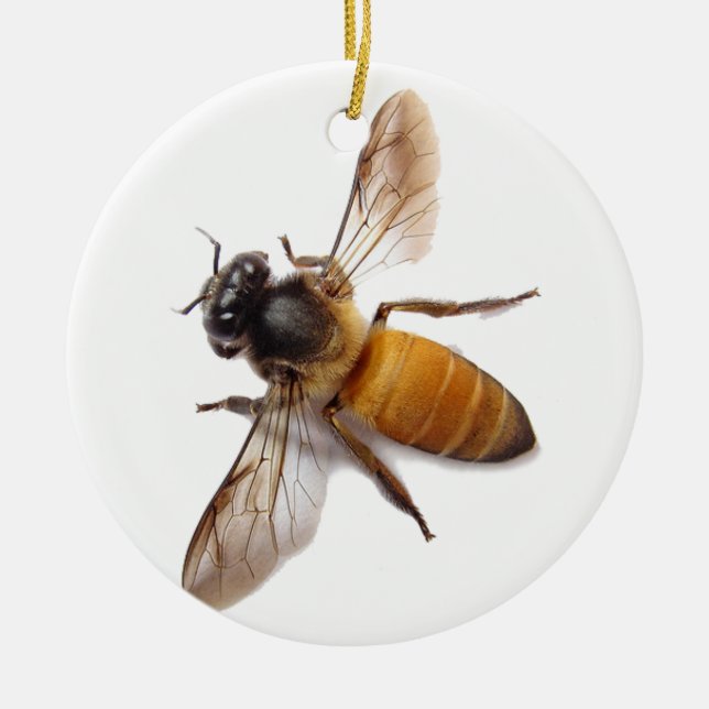 Honey Bee Ceramic Tree Decoration (Front)