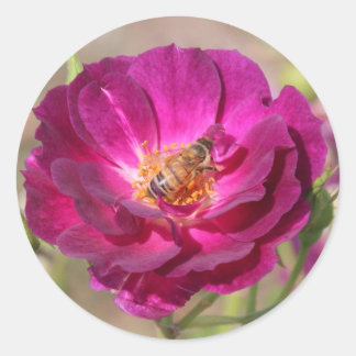 Honey bee classic round sticker