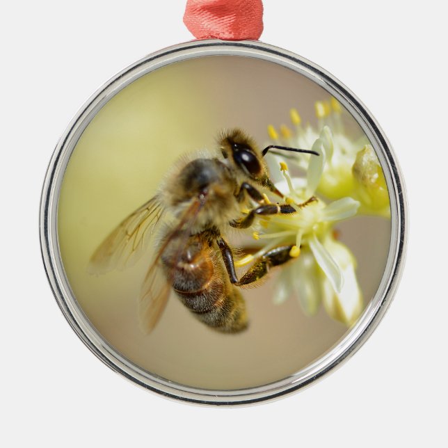 Honey bee feeding on flower metal tree decoration (Front)